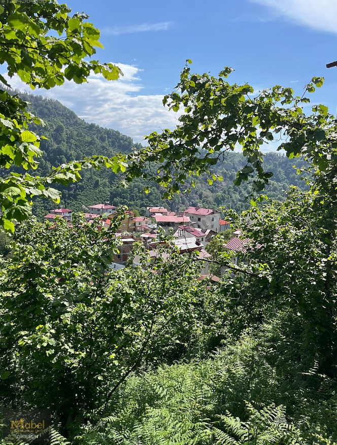 HİSARÜSTÜ KÖY MERKEZİ YOLU CEPHELİ BAHÇE